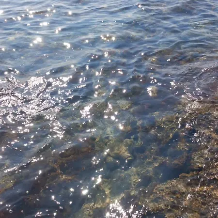 La Terrazza Sul Mare 펜션 *